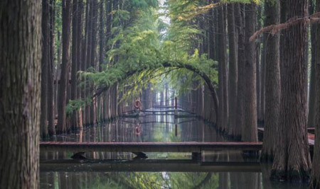 泰州十大最好玩的地方，泰州旅游景點攻略