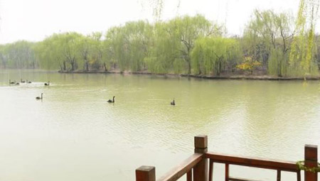 阜陽十大好玩的地方，阜陽有什么好玩的地方景點(diǎn)